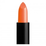 Color Intense Lipstick Caravan