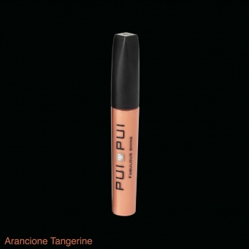 Fabulous Shine Lipgloss